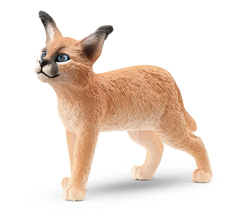 14868 Caracal cub