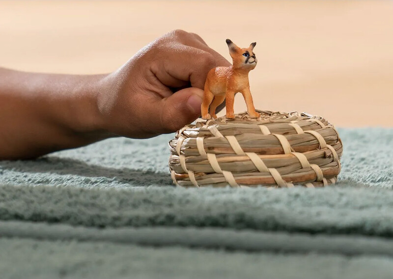 14868 Caracal cub