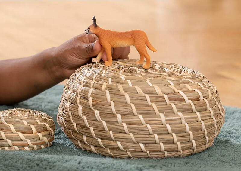14867 Caracal female