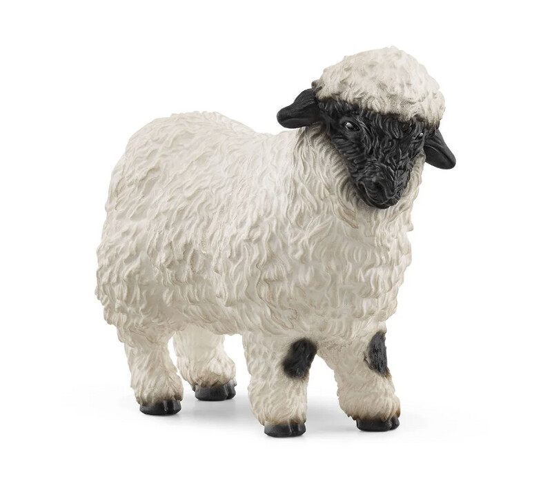 13965 Blacknose sheep
