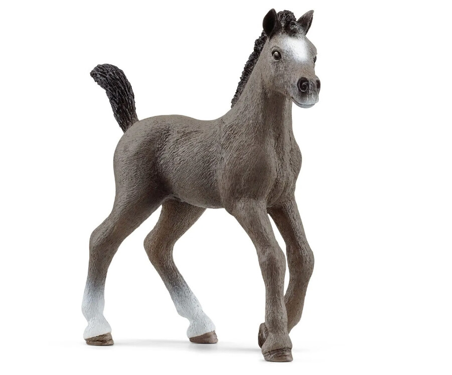 13957 Cheval de Selle Fr. Foal
