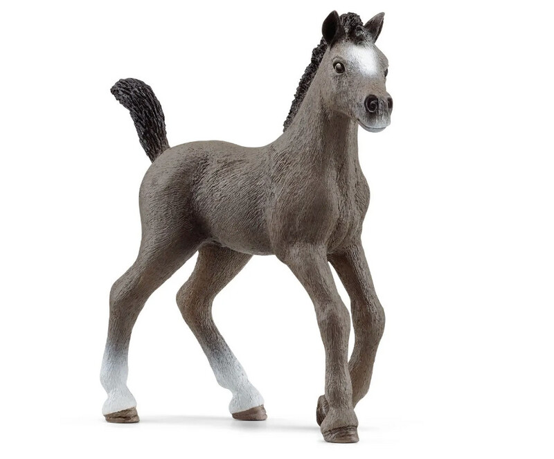 13957 Cheval de Selle Fr. Foal