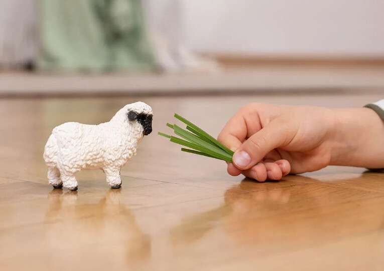 13965 Blacknose sheep