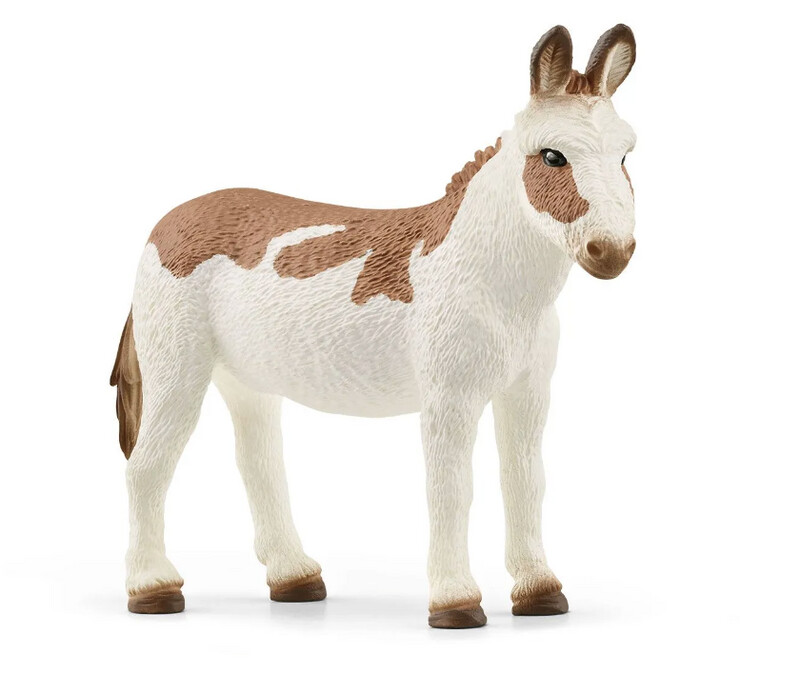 13961 American Spotted Donkey
