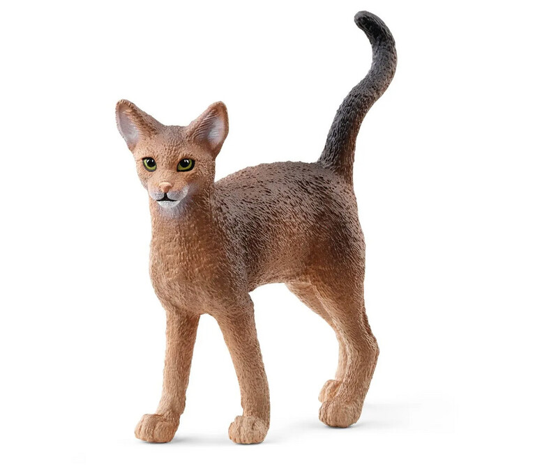13964 Abyssinian Cat