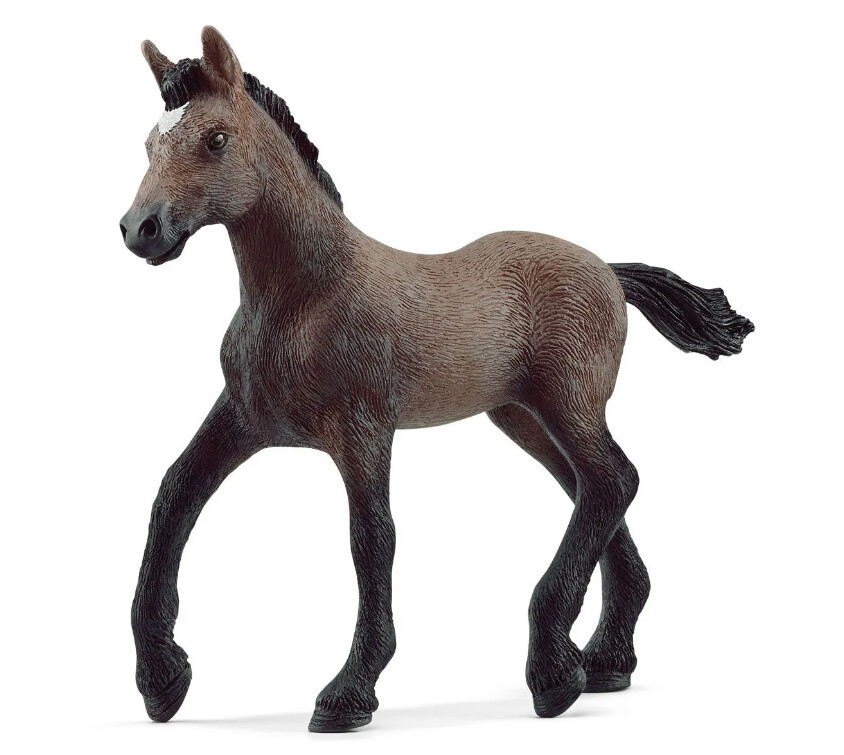 13954 Paso Peruano foal
