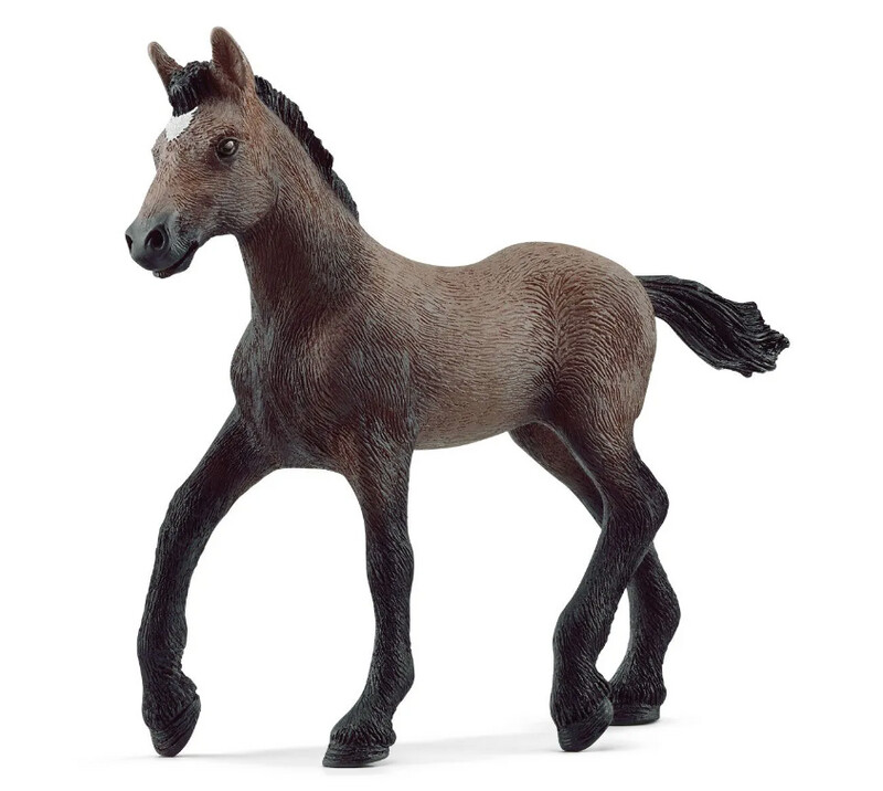 13954 Paso Peruano foal