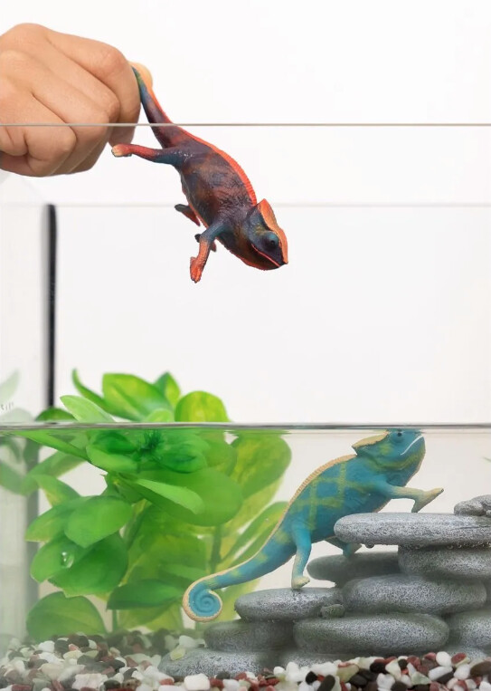 14858 chameleon