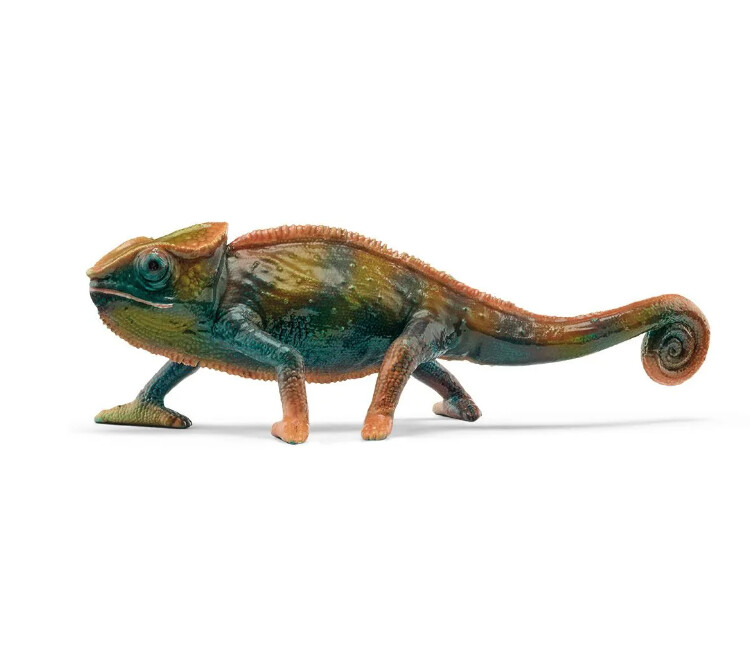 14858 chameleon