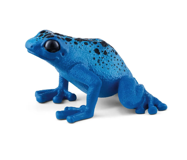 14864 Poison dart frog