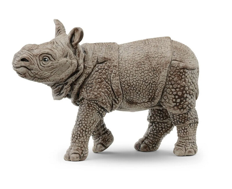 14860 Indian rhinoceros baby