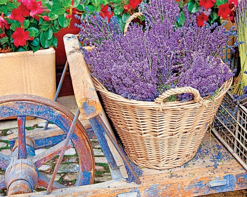 3310668 SD 1000PC PUZZLE-BASKET OF
