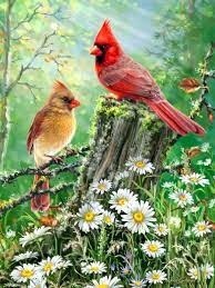 3301581 N 500PC PUZZLE-GOLDEN LIGHT