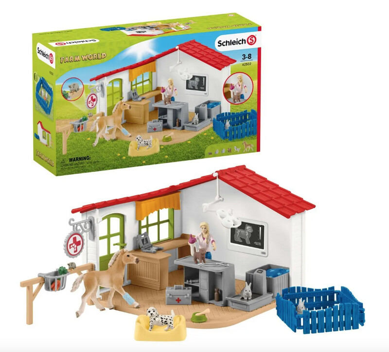 42502 Veterinary practice with pets