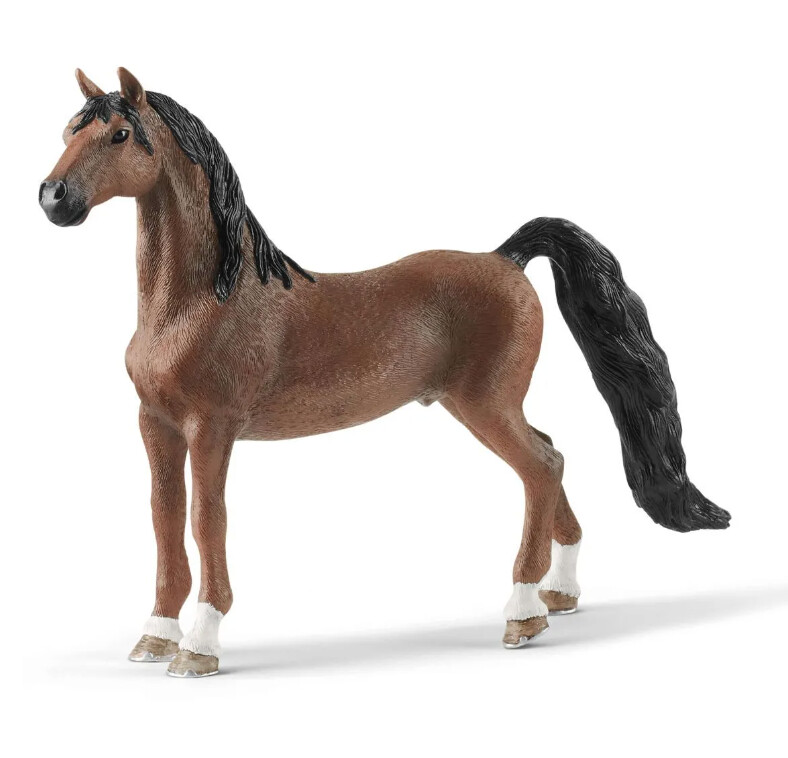 13913   American Saddlebred gelding