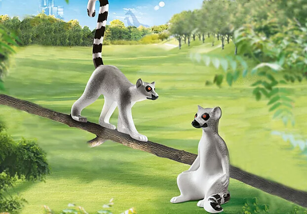 70355 Lemurs