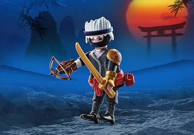 70814 Ninja
