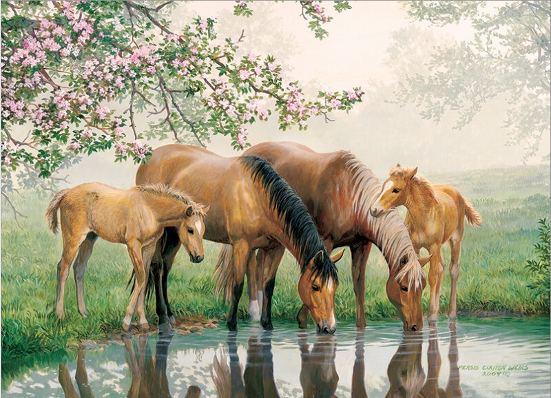 58901 Watering Hole (tray)