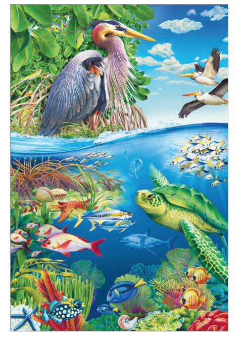 55124 Air and Sea