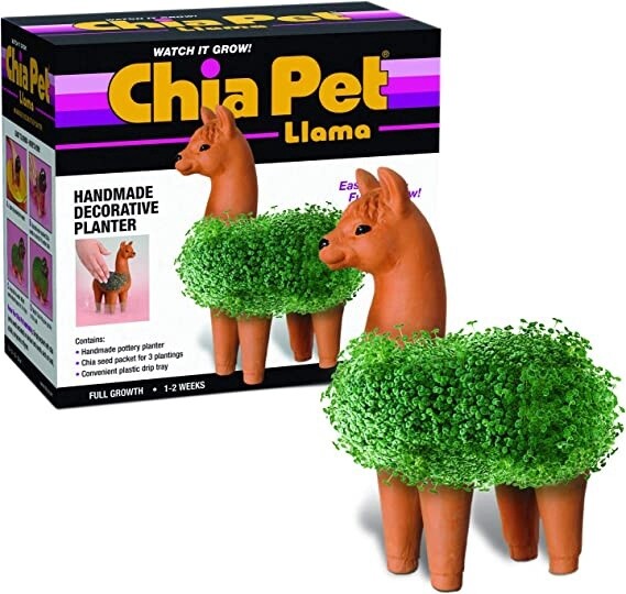 CP439-01 Chia Llama