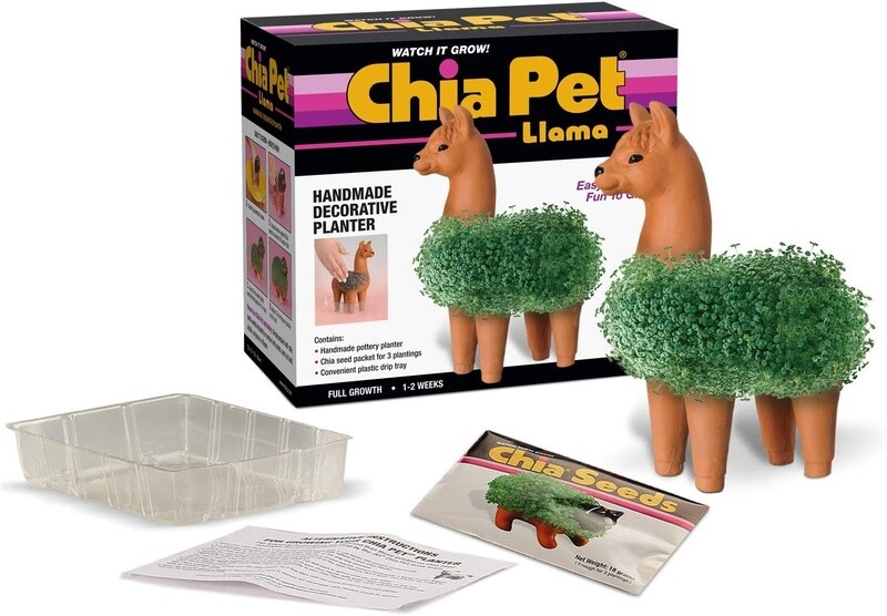 CP439-01 Chia Llama
