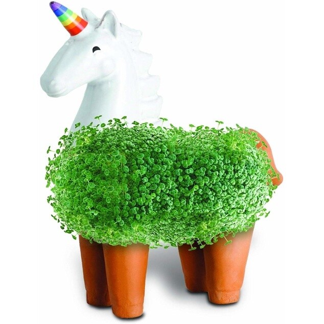 CP437-01 Chia Unicorn