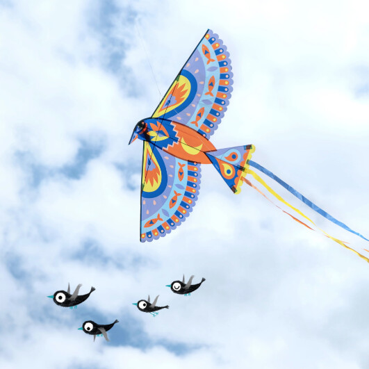 DJ02160 Maxi Bird Kite