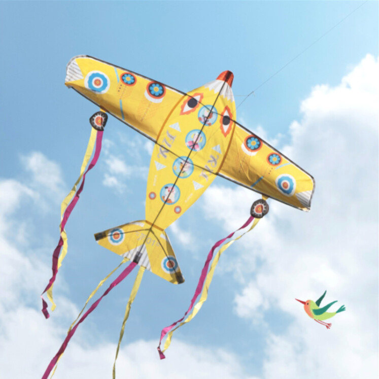 DJ02161 kite/Maxi Plane