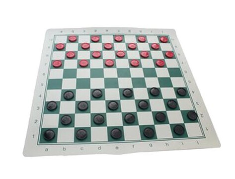0086320 checkers in a bag