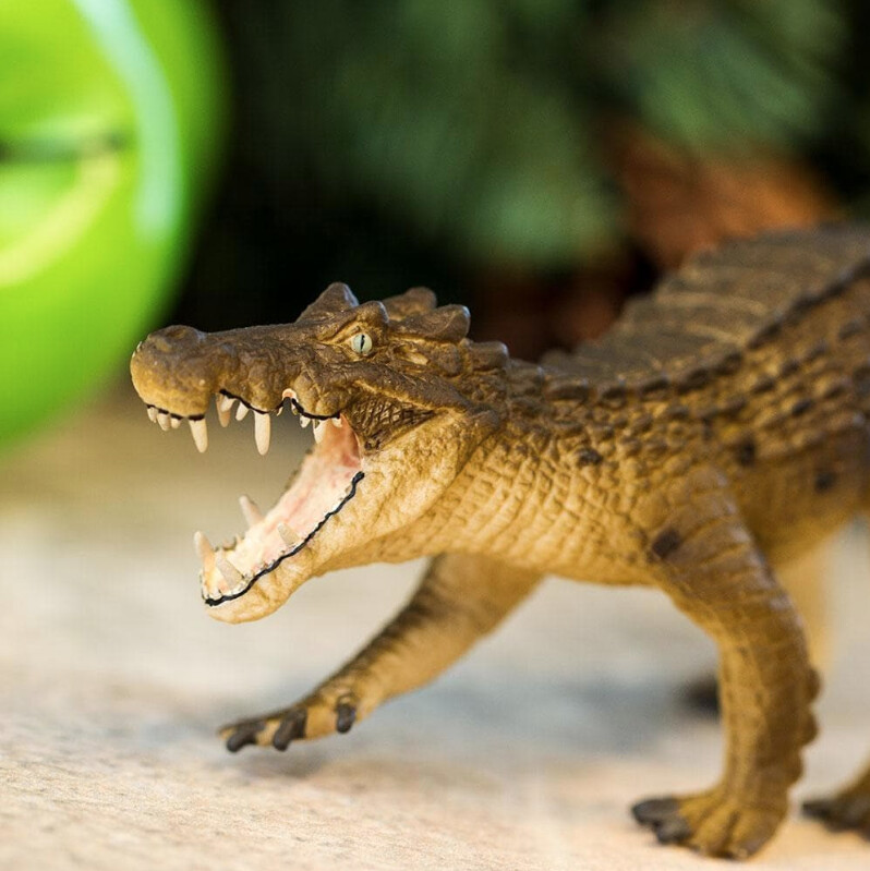 300829 Kaprosuchus