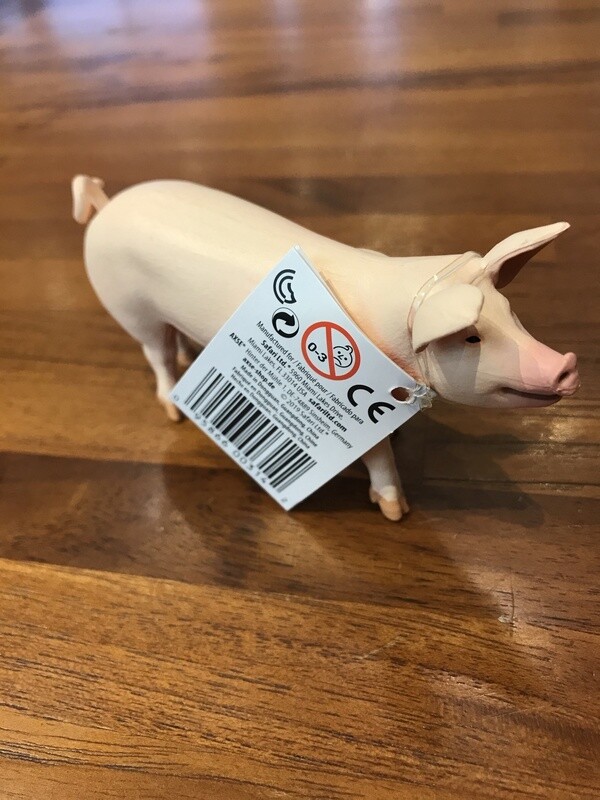 100269 Large White Pig