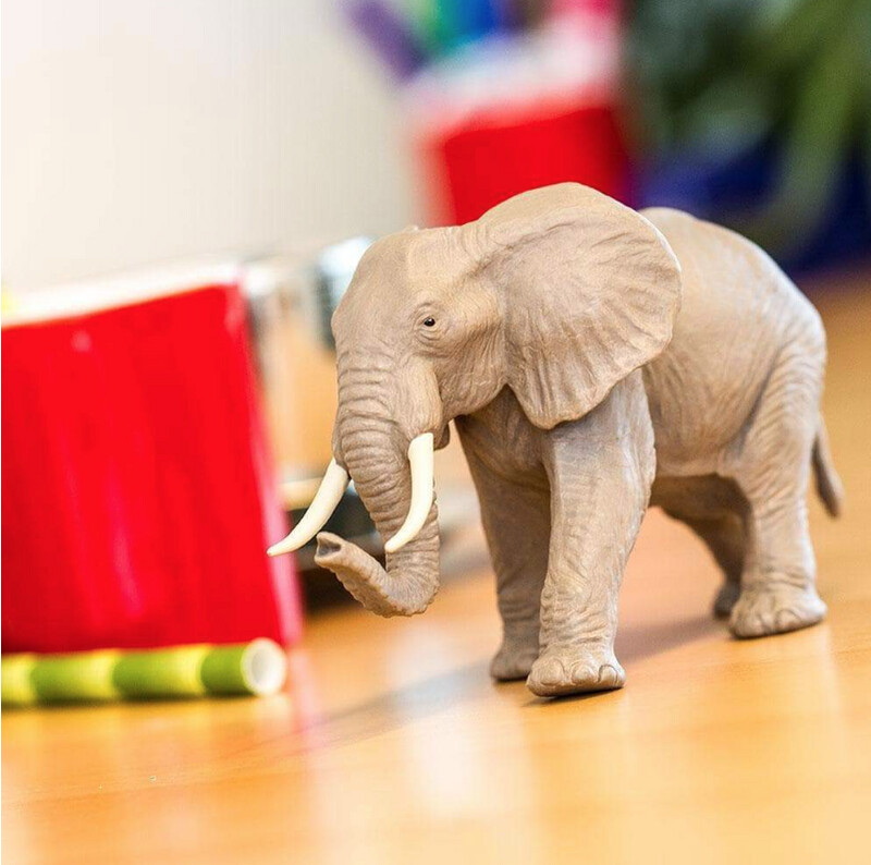 270029 African Elephant