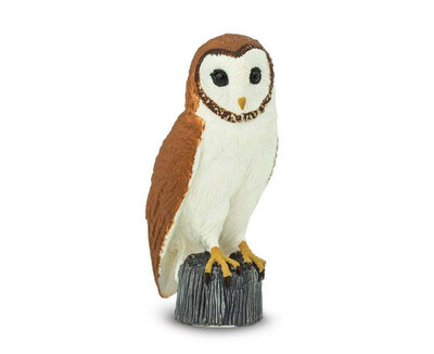 150029 Barn Owl
