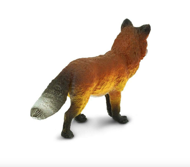 273729 Fox
