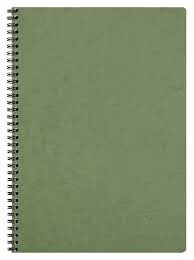 785363 AGE-BAG NOTEBOOK WIREB. LINED 100p 53⁄4x81⁄4 GREEN
