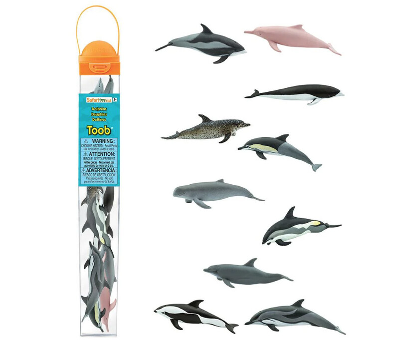 100475 Dolphins