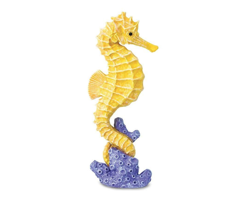 204329 Seahorse