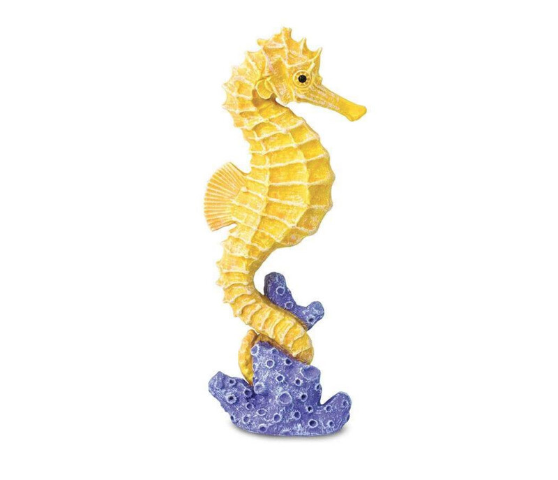 204329 Seahorse