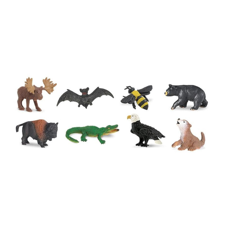 349922 Wild America