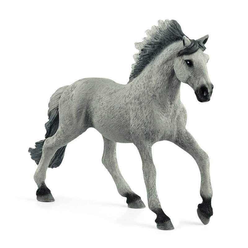 13915 Sorraia Mustang Stallion