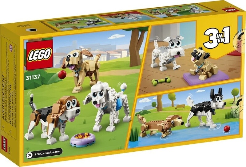 31137 Adorable Dogs