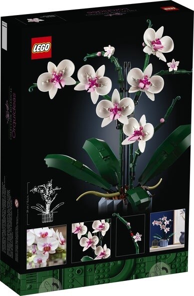 10311 Orchid