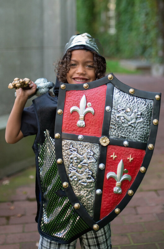 14435 Knight Shield