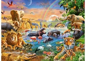 12910 Waterhole 100pc