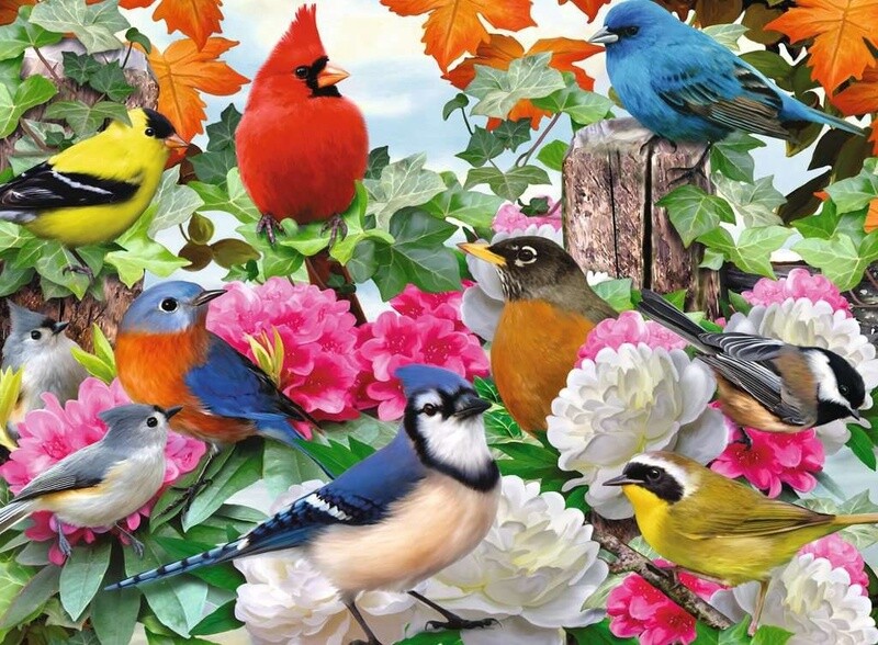 12000147 Garden Birds 500pc
