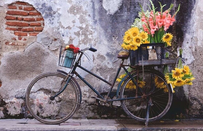 13305 Bicycle 200pc