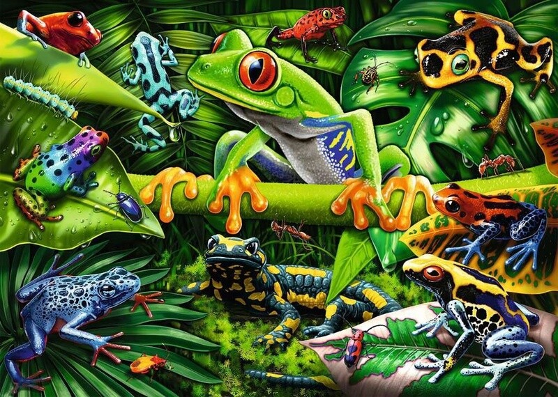 05174 Amazing Amphibians 35p