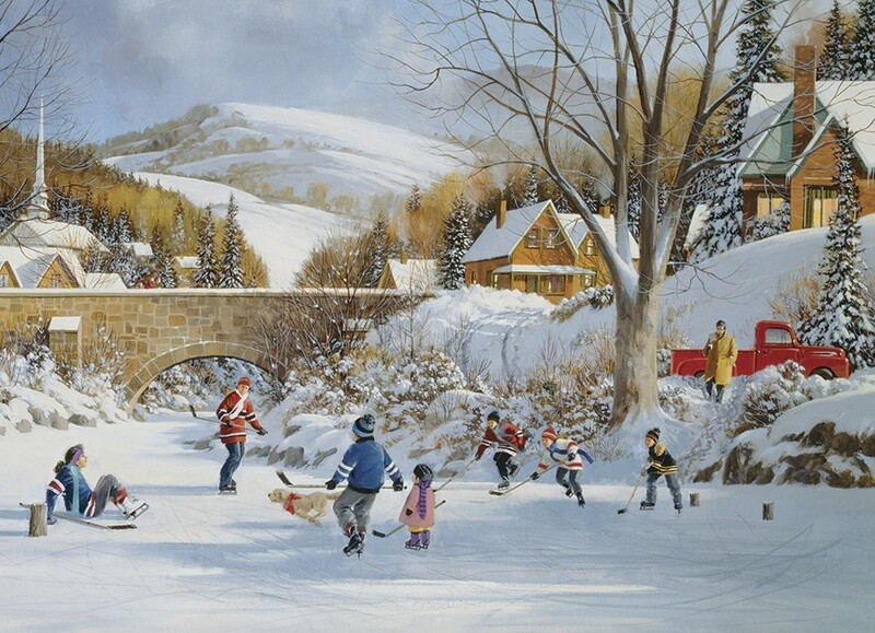 57249 Hockey on Frozen Lake (Modular 1000)