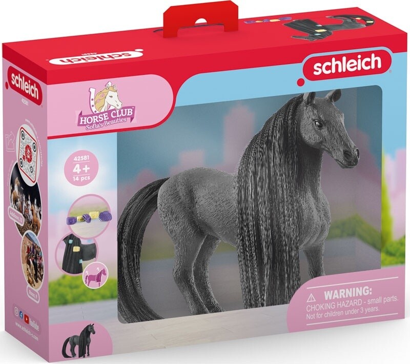 42581 Beauty Horse Criollo Definitivo Mare