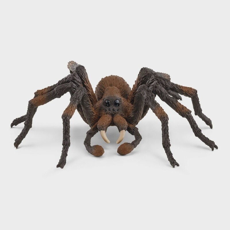 13987 Aragog